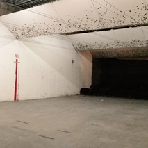 norpoint-owner-steve-sittauer